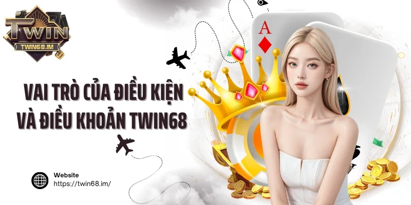 Vai trò của điều kiện và điều khoản Twin68